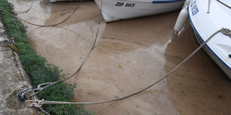 Slobodna Dalmacija – Na Jadranu se dogodilo najgore cvjetanje mora u 20 godina, turisti ga ne vole, a različite su teorije što ga izaziva