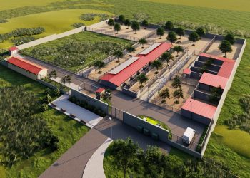 Zadarska županija osniva ustanovu „Sklonište za napuštene i izgubljene životinje“