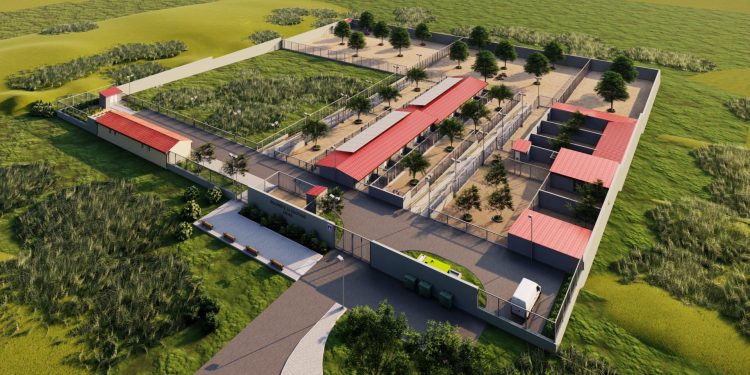 Zadarska županija osniva ustanovu „Sklonište za napuštene i izgubljene životinje“