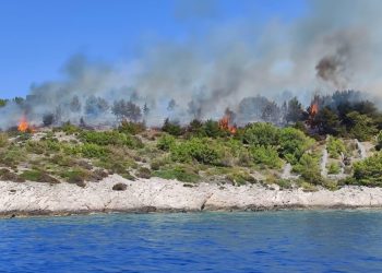 Slobodna Dalmacija – Požar na Braču naporima vatrogasaca stavljen pod kontrolu, u gašenju sudjelovalo njih 38 i dva kanadera