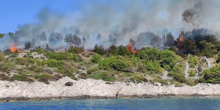 Slobodna Dalmacija – Požar na Braču naporima vatrogasaca stavljen pod kontrolu, u gašenju sudjelovalo njih 38 i dva kanadera