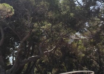 ‘Gola’ svlačionica privlači poglede: Gdje se presvući u kupaći u Portoču zadnjeg dana u lipnju?