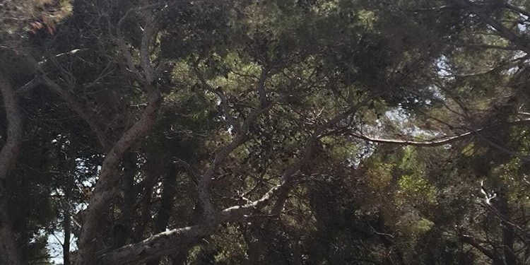 ‘Gola’ svlačionica privlači poglede: Gdje se presvući u kupaći u Portoču zadnjeg dana u lipnju?
