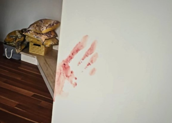 Britanci su se goli mazali krvlju i ljubili, povraćao sam od muke!