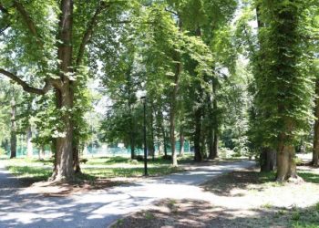 Dobili novac za sadnju stabala