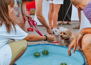 (FOTO) Pet Centar Dujmovača i Zaklada za zaštitu životinja Bestie organizirali veselo ljetno druženje