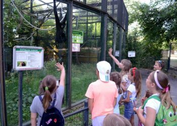 Kreativne radionice za djecu u ZOO vrtu svakog radnog dana