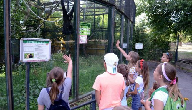Kreativne radionice za djecu u ZOO vrtu svakog radnog dana