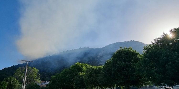 LOKALIZIRAN POŽAR NA HVARU “Vatrogasne snage ostaju na saniranju požarišta”