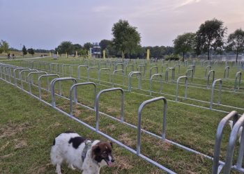 Neviđen prizor na Jarunu: ‘Konačno, godinama smo upozoravali’