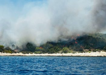 POŽAR NA BRAČU Gori borova šuma, u akciji gašenja sudjeluju dva kanadera