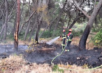 Požar na Braču: Planulo kod uvale Smrka, vatrogasci objavili detalje