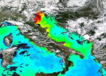 SLUZ I PLASTIKA Jadran se guši već dvadeset godina!