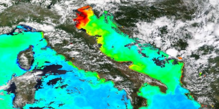 SLUZ I PLASTIKA Jadran se guši već dvadeset godina!