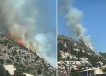 VIDEO Veliki požar kod Dubrovnika, prekinut je promet Jadranskom magistralom