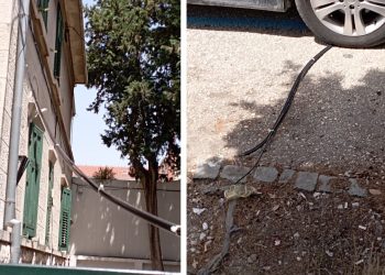 Zašto je ovaj kabel u Gundulićevoj tek tako ostavljen?