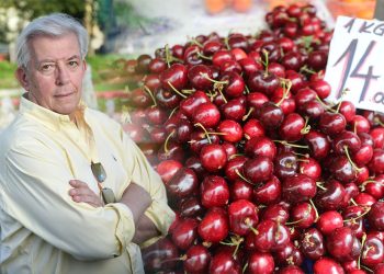 HRVANJE S HRVATSKOM Hrvatska first, a potom trešnje i EU | NACIONAL.HR