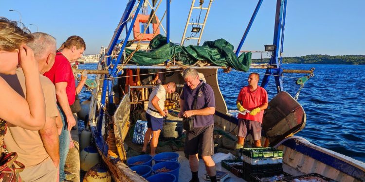 Slobodna Dalmacija – U Šibeniku još radi peškarija na rivi, pod vedrim nebom, na palubi broda Petra Baranovića nudi se friška riba, iz kašete