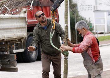 Slobodna Dalmacija – Pokreću humanitarnu akciju za sadnju stabala na dječjem igralištu, a iz Grada pojašnjavaju ‘Postoji procedura…’
