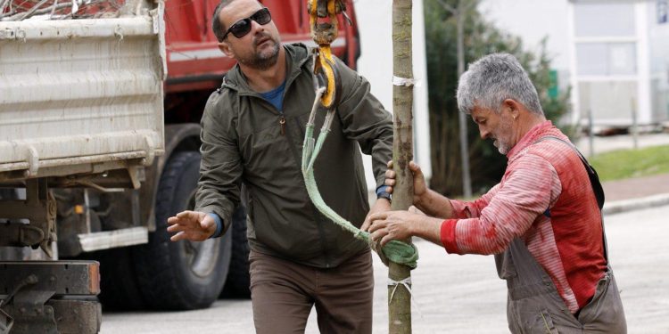 Slobodna Dalmacija – Pokreću humanitarnu akciju za sadnju stabala na dječjem igralištu, a iz Grada pojašnjavaju ‘Postoji procedura…’
