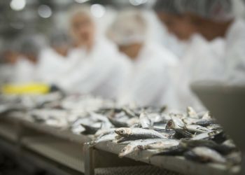 Nastavljen pozitivan trend u Zadarskoj županiji: Prvi put premašena brojka od 70 tisuća zaposlenih u lipnju