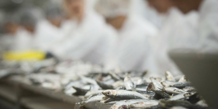 Nastavljen pozitivan trend u Zadarskoj županiji: Prvi put premašena brojka od 70 tisuća zaposlenih u lipnju