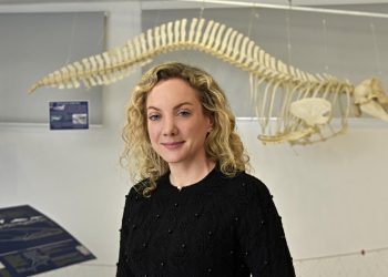 Slobodna Dalmacija – Ravnateljica Prirodoslovnog muzeja i zoološkog vrta Sanja Bašić: Nisam izjavila da bez ZOO-a ne možemo opstati