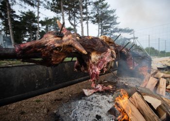 Slobodna Dalmacija – Obrovac slavi ‘Bukovačku večer’, počinje dodjelom nagrada naj učenicima, a vrhunac fešte je gastronomska atrakcija…