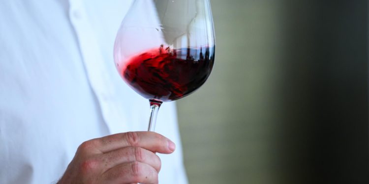 Na Wine Eno Gastro festivalu u Privlaci uživajte u najboljim vinima zadarske regije