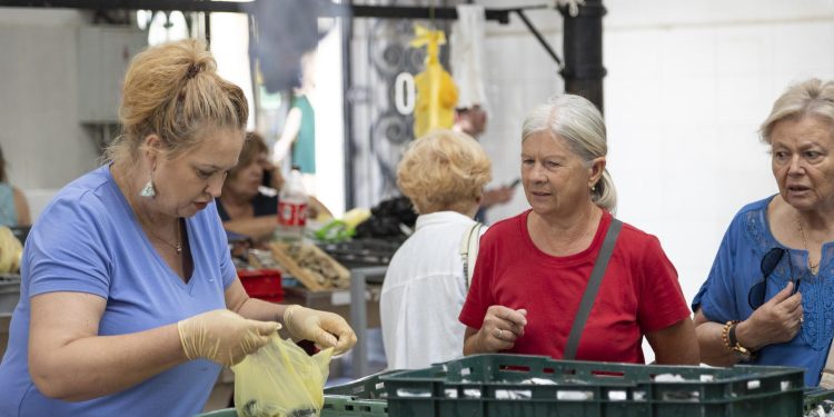 Slobodna Dalmacija – I danas smo bili na splitskoj peškariji; malo molića i trljica za frigaduru dobitna je ljetna kombinacija! Ima svega…