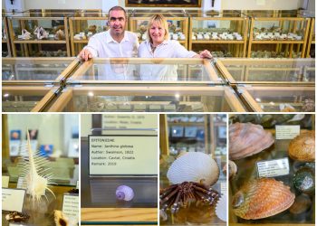 Ines i Neško Miljan Popović u carstvu školjki: Krije se tu svašta, od fosila iz doba dinosaura preko varljivog Venerinog češlja do gorostasne ‘Filipinke’