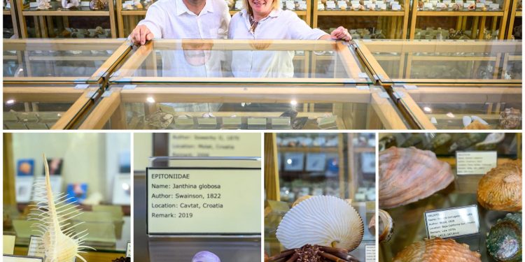 Ines i Neško Miljan Popović u carstvu školjki: Krije se tu svašta, od fosila iz doba dinosaura preko varljivog Venerinog češlja do gorostasne ‘Filipinke’