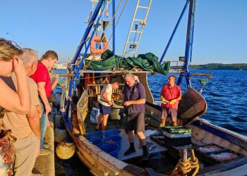 I večeras je radila šibenska peškarija pod vedrim nebom, na palubi Baranovićevog ‘Sokola’. Moli, kozice, lignjuni, sve još živo i friško…