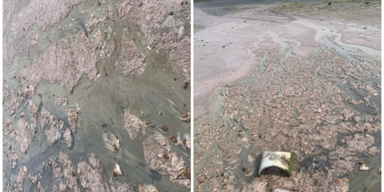 Slobodna Dalmacija – Fekalije u moru splitskog naselja doplivale i do DORH-a, situacija je ozbiljna: ‘Poslali smo hitan nalog inspekciji…’