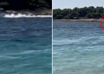 Slobodna Dalmacija – ‘Svratite nekad i do nas, poginut će netko!’; stanovnici bisera Dalmacije preklinju policiju, očajni su zbog divljaka