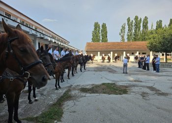 Slobodna Dalmacija – Alkari stigli na trkalište, sinjski župnik blagoslovio njih i konje. Vojvoda Šušnjara: ‘Sada ostaje zabavniji dio…’