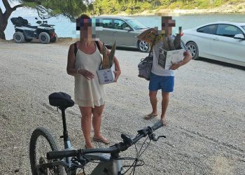 Slobodna Dalmacija – Šok na Braču; turisti izronili 5 živih periski, pa ih nosili ležerno u kutijama! ‘Uhvatio sam ih na djelu, pobigli su’