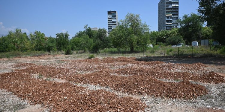 Slobodna Dalmacija – Izložba pasa izazvala pravu pomutnju na Spinutu: ‘Uzurpirali su nam privatne parcele!’; ‘Ma budite sritni što čistimo!’