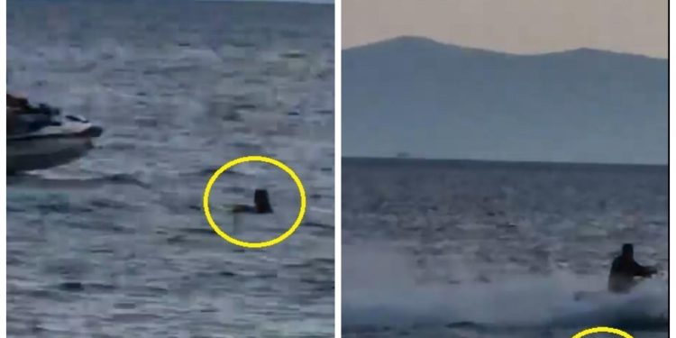 Slobodna Dalmacija – Najnovije divljanje na Jadranu; pogledajte gdje prolazi vozač glisera u punom gasu! ‘Za dugotrajnu robiju’; ‘Idiot…’