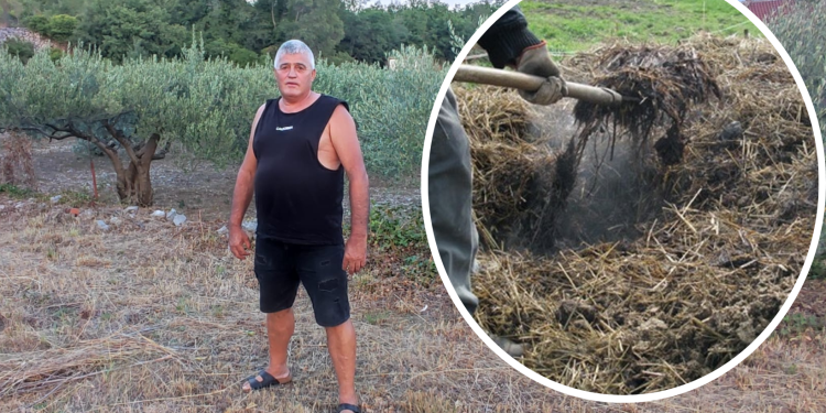 Slobodna Dalmacija – Braća iz Žeževice u šoku zbog bizarne krađe; krenuli u obilazak svog vinograda, pa ostali u čudu; ode cijela tona…