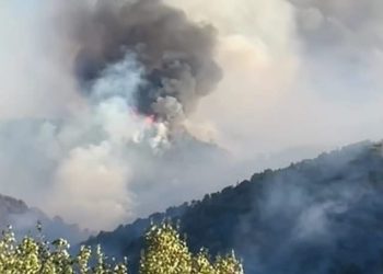 Na Biokovu planuo novi požar, umornim vatrogascima stiže pomoć iz Slavonije!