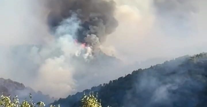 Na Biokovu planuo novi požar, umornim vatrogascima stiže pomoć iz Slavonije!