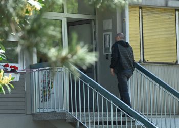 Alarm zbog ‘pošasti’ na zapadu Zagreba: ‘Pojavljuju se pred vratima’