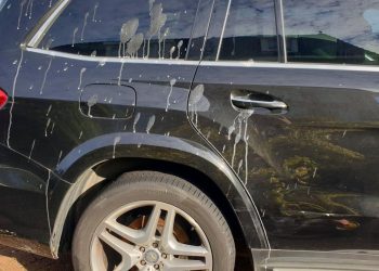 Auto Klub – Brzo i efikasno: Kako ukloniti ptičji izmet bez ostavljanja tragova na automobilu?
