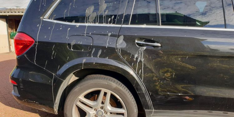 Auto Klub – Brzo i efikasno: Kako ukloniti ptičji izmet bez ostavljanja tragova na automobilu?