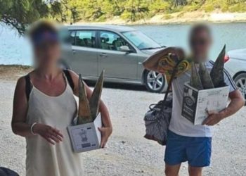 Bračni par besramno uzimao zaštićeno hrvatsko blago: ‘Dali su petama vjetra čim sam ih uhvatio’