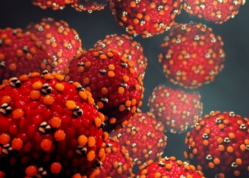 Broj slučajeva ospica porastao je više od tri puta prošle godine, a ostalo je još pet mjeseci