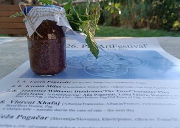 DRUGAČIJE ISKUSTVO Uskoro stiže 26. izdanje PagArt Festivala