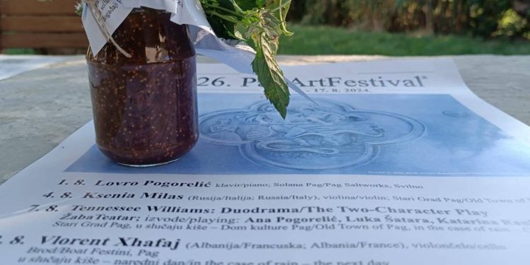 DRUGAČIJE ISKUSTVO Uskoro stiže 26. izdanje PagArt Festivala
