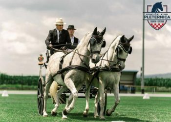 Danko Drobnjak imao je vrlo dobar rezultat s dvopregom u Pleternici
